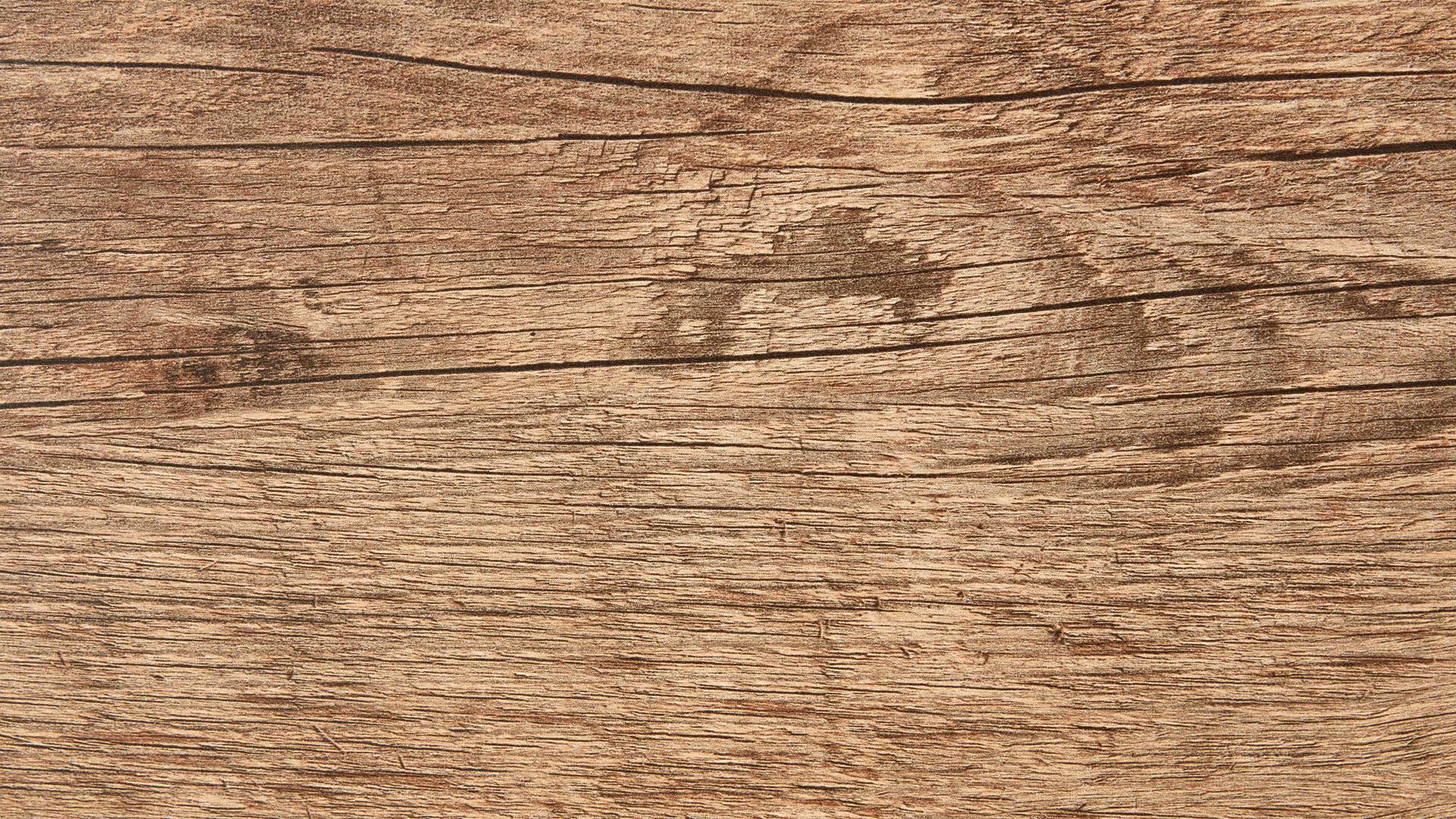 WOODS & TRENDS Esszimmer Serie Perth - Sideboard